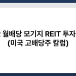 ARR 월배당 모기지 REIT 투자 가치 (미국 고배당주 칼럼) 6