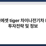 미래에셋 tiger 차이나전기차 ETF 투자전략 및 정보 2