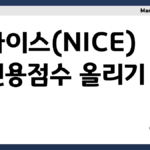 나이스 신용점수 올리기