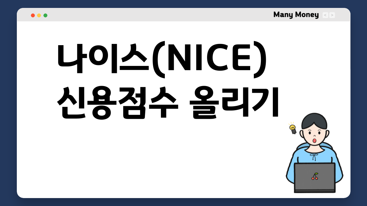 나이스 신용점수 올리기