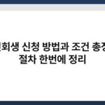 개인회생 신청 방법과 조건 총정리, 절차 한번에 정리 4