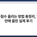 신용점수 올리는 방법 총정리, 한달 만에 올린 실제 후기 5